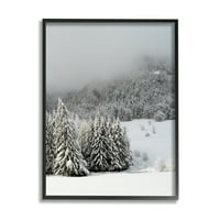 Stepell Industries Winter Snowscape šuma drveća Pejzažna fotografija crne uramljene umjetnosti Print Wall