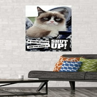 Grumpy Cat - Umukni zidni poster, 22.375 34