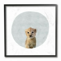 Dječija soba Stupell Baby Lion životinja Dječija slika uokvirena Giclee teksturirana Umjetnost Leah Straatsma