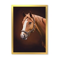 Designart 'Close Up portret smeđeg konja sa bijelim nosom II' seoska kuća uokvirena umjetničkim printom